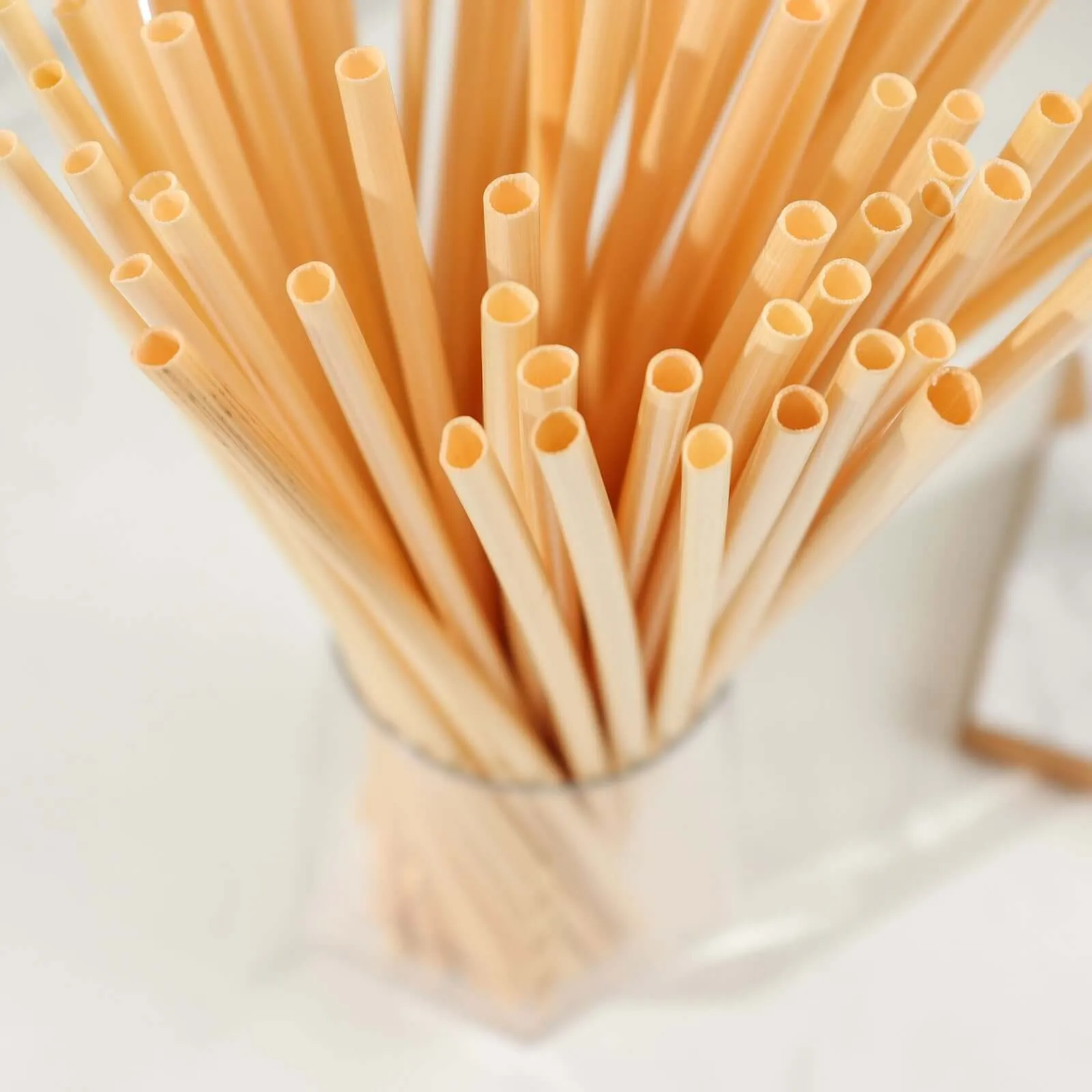 100 Pack Compostable Plant Based Disposable 100% Plastic FREE Straws, Eco-Friendly Wheat Drinking Straws 9"