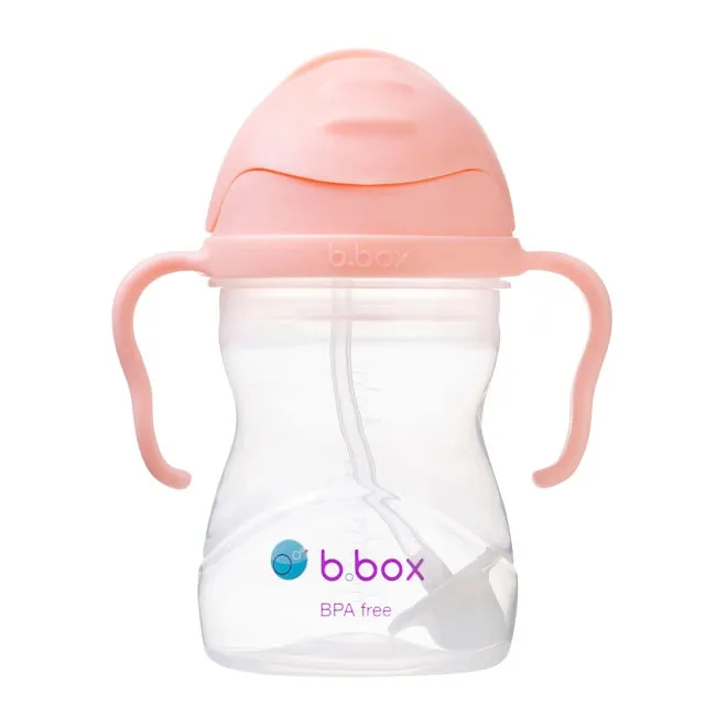 Bbox Sippy Straw Cup 240ml - Tutti Frutti