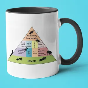 Biodiversity pyramid mug