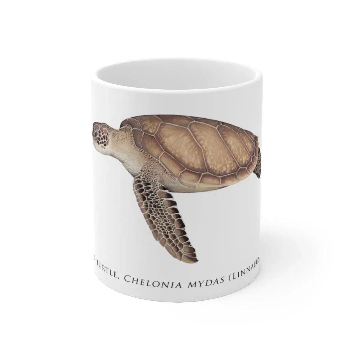 Green Sea Turtle Mug