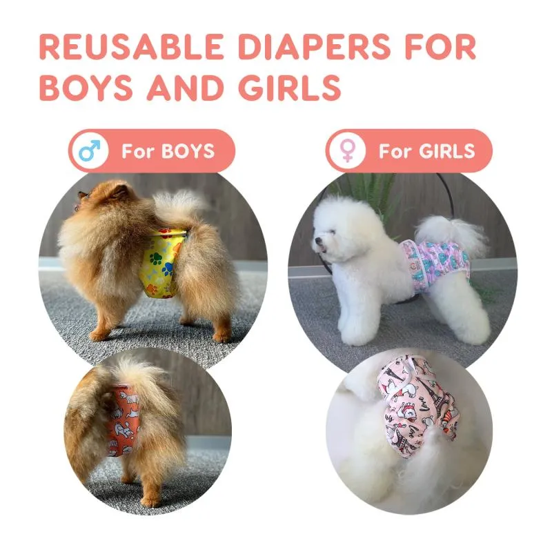 Misoko reusable diapers for female dogs, with puppies, mint