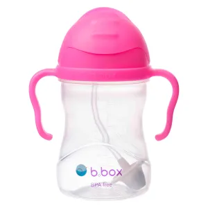 sippy cup - pink pomegranate